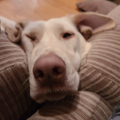 Profile Picture of Edward Andersen (@Edwarda77734200) on Twitter