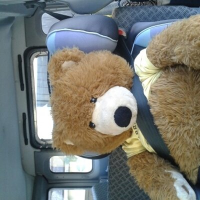 Profile Picture of Adam Pressman (@adampressman1) on Twitter