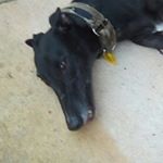 Profile Picture of Travis Corkill (@trav_corkill) on Instagram