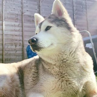 Profile Picture of Tomasz Zygowski (@tomasz.zygowski.7) on Facebook