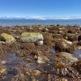 Profile Picture of Janet Jakubowski (@janet.jakubowski) on Instagram