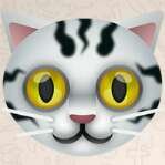 Profile Picture of Thomas Mertens (@ThomasMertens13) on Twitter