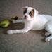 Profile Picture of Jane Lininger (@jane.lininger.1) on Facebook