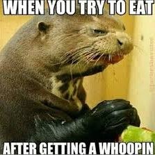 Profile Picture of Tyler Harlan (@Rustbucket47) on Twitter