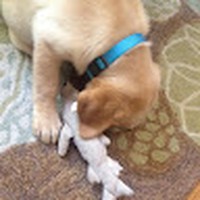 Profile Picture of Quinn Fossing (@quinn-fossing) on Quora