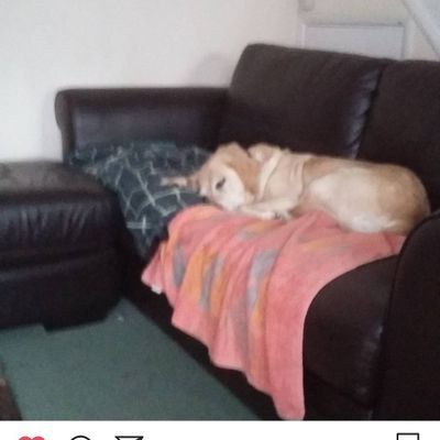Profile Picture of samdunsdon (@samdunsdon) on Tiktok