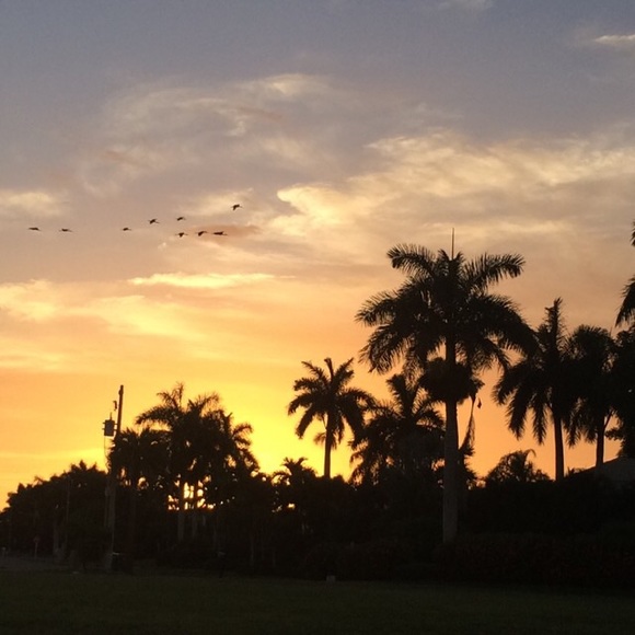 Profile Picture of Lenka Okenkova (@lenkaokenkova) on Poshmark