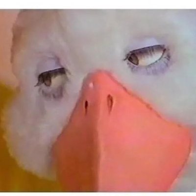 Profile Picture of Zov-ish-lack.. 3 Syllables Dummy. (@Amanda76664671) on Twitter