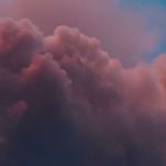 Profile Picture of Jelly Beans (@jason.mentonis) on Instagram