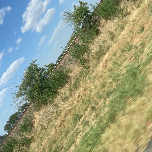 Januel Cantero - Poshmark Profile Picture of Januel Cantero (@januelc) on Poshmark