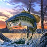 Profile Picture of Bryson,Robby,Cody,Matthew (@east_georgia_fishing) on Instagram