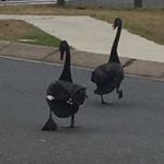 Profile Picture of James Gentner (@mrcringed) on Instagram