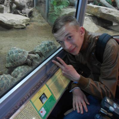 Profile Picture of Tom Spindler (@Toybroboy23) on Twitter