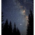 Profile Picture of Tommy Allison (@tommy.allison.7146) on Instagram