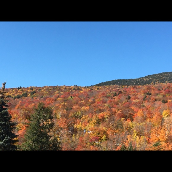 Profile Picture of Vikash Sharma (@vikash76) on Poshmark