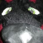 Profile Picture of David Arnett (@nsider64) on Instagram