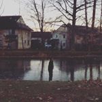 Profile Picture of Michael Rebelo (@mikedarebel) on Instagram