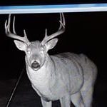 Profile Picture of grant mendenhall (@mendenhallgrant) on Instagram