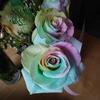 Profile Picture of pampfeiffer957 (@@pampfeiffer957) on Tiktok