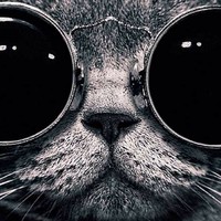 Profile Picture of Bree Rowe (@bree-rowe-3) on Quora