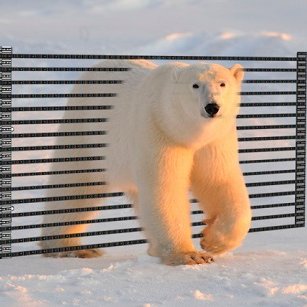 Profile Picture of Nancycheng (@NancyCheng640) on Twitter