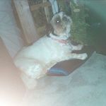 Profile Picture of Steven Kowalczyk (@steven_kowalczyk) on Instagram