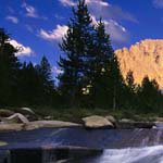 Profile Picture of Larry_Todd (@larry_toddm) on Instagram