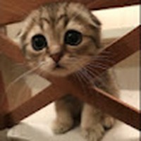 Profile Picture of Kieran Boyle (@kieran-boyle-43) on Quora