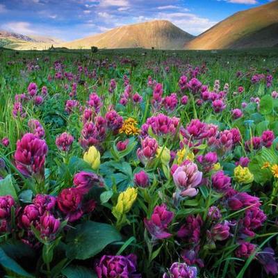 Profile Picture of IMELDA SERRANO PLATA (@Adlemisp06Plata) on Twitter