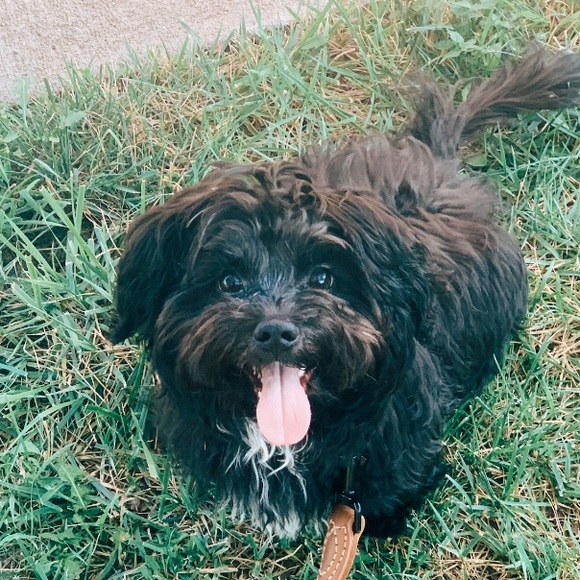 Profile Picture of Abby Jadwin (@abbyjadwin) on Poshmark