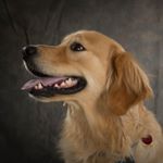 Profile Picture of robert.arrabito (@robert.arrabito) on Instagram