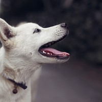 Profile Picture of Daniel Iglesias (@daniel-iglesias-13) on Quora