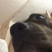 Profile Picture of Rocco Mauro (@roccomauro3683) on Youtube