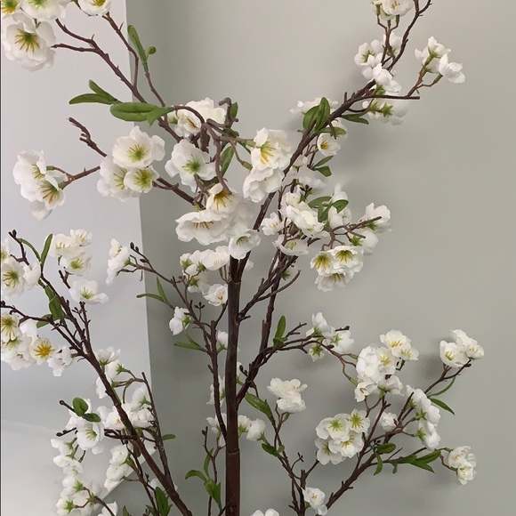 Hannah Rousey - Poshmark Profile Picture of Hannah Rousey (@hannahrousey) on Poshmark