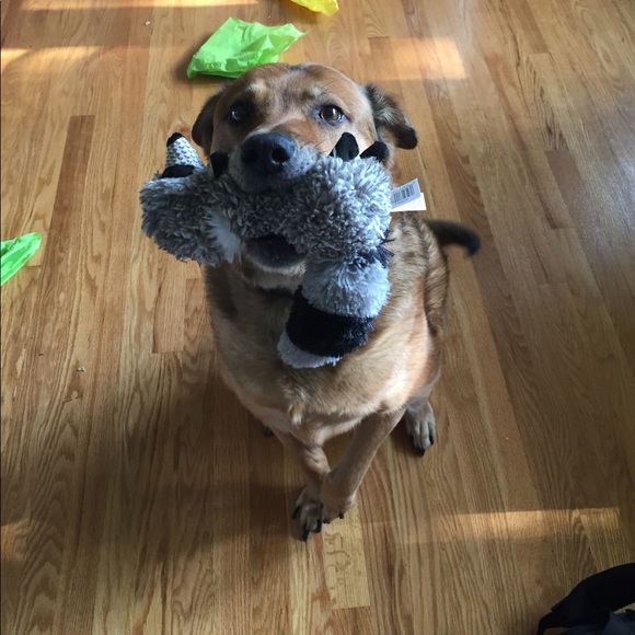 Profile Picture of J Woulfe (@jwoulfe) on Poshmark