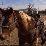 Profile Picture of Sterling Bryant (@sterlingb.4) on Instagram