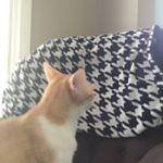 Profile Picture of Braden douglas Moody (@bdmoody0225) on Instagram