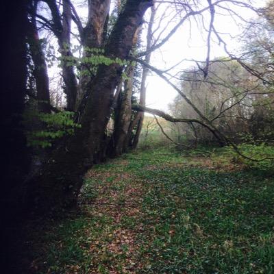 Profile Picture of Richard Morrissey (@richiemorr40) on Twitter