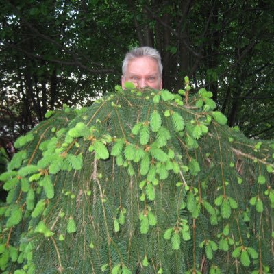 Profile Picture of Gerry O'Brien (@obrien_gerard) on Twitter