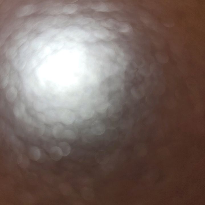Profile Picture of caseydiner (@caseydiners) on Tiktok