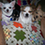 Profile Picture of Aug_Butterfly05 (@Aug_Butterfly05) on Flickr