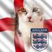 Profile Picture of Lisa Lawrence (Lisa Macfarlane) (@lisa.lawrence.1291421) on Facebook