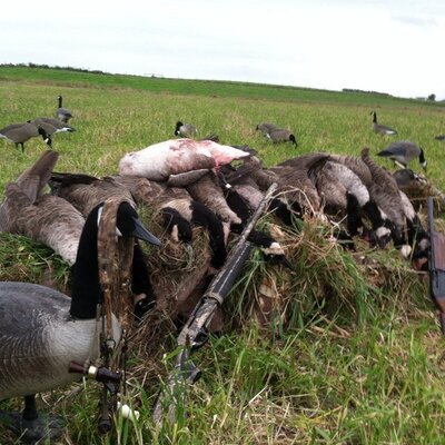 Profile Picture of Justin Hilder (@jhilder265) on Twitter