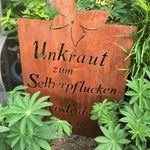Profile Picture of MiScha Ihr Landschaftsgärtner (@michael_schadewald) on Instagram