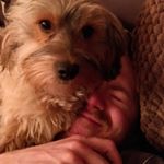 Profile Picture of Gary Archibald (@garchie1984) on Instagram