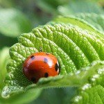 Profile Picture of Michael (@michaelwawrod93) on Instagram