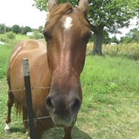 Profile Picture of Rose Dobson (@rose-dobson-1) on Quora