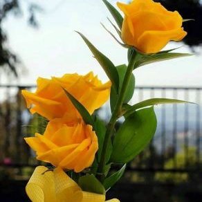 Profile Picture of Sônia Freire (@SniaFreire1) on Twitter