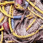 Profile Picture of Michael (@lovaglio.michael) on Instagram