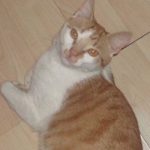 Profile Picture of Sherbert Sweet (@sherbert.sweet) on Facebook